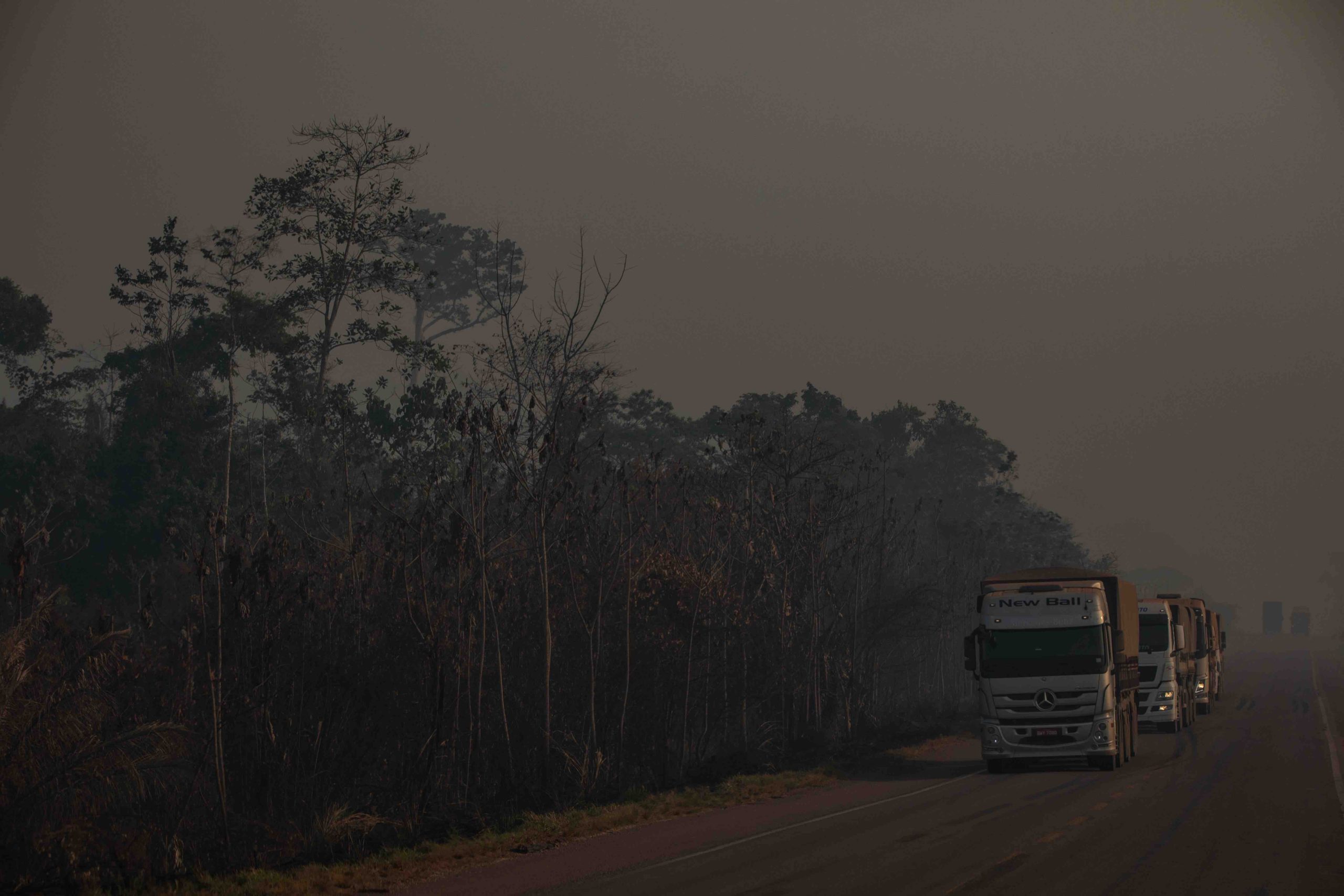 Camiones de transporte de soja en El Cerrado brasileño. Imagen: Victor Moriyama, Rainforest Foundation Norway, cedida por Ecologistas en Acción.