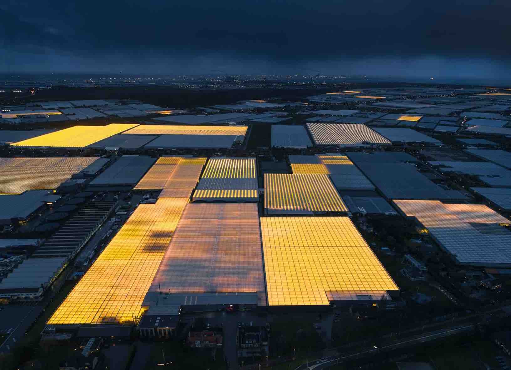Tom Hegen. Serie “the greenhouses”, 2019 Holanda. CCC