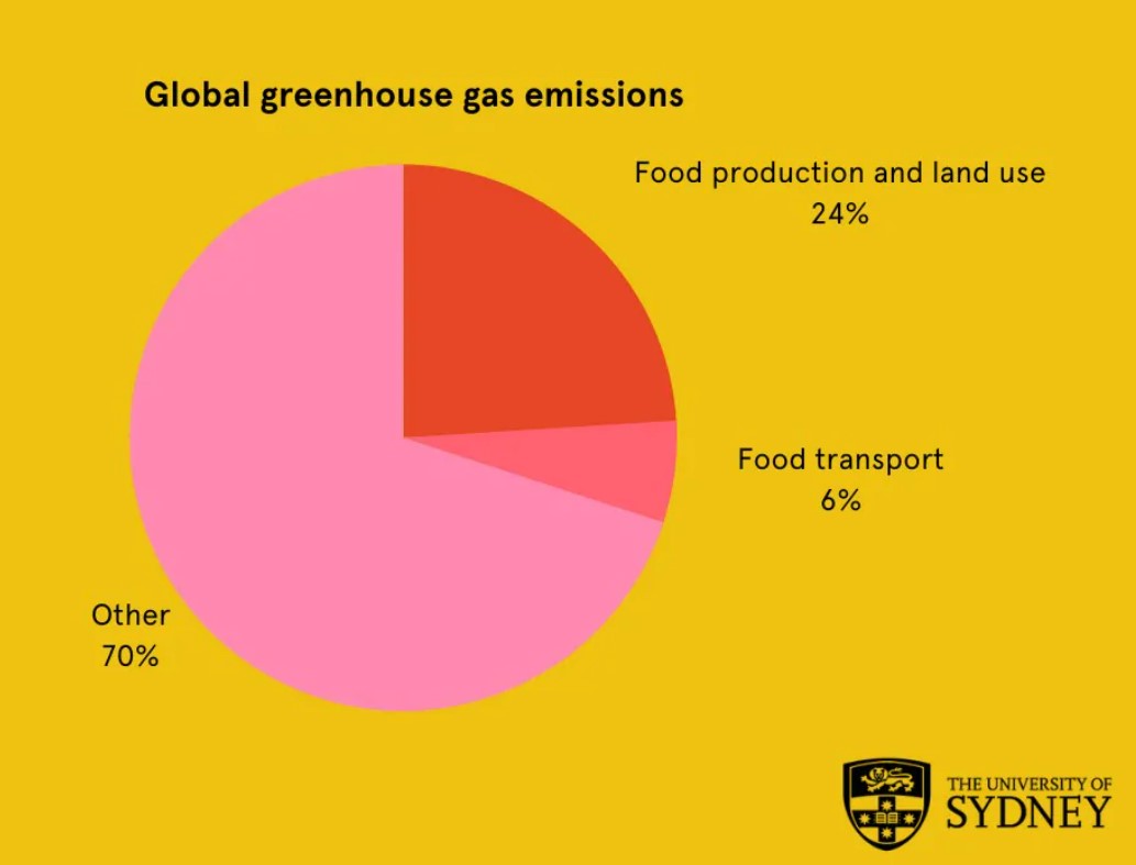 Emisiones de gases de efecto invernadero del sistema alimentario. Fuente: University of Sidney, 2022.