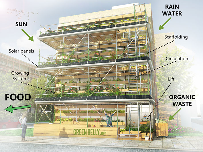 Propuesta de granja vertical urbana. Fuente: Green Belly, s.f.